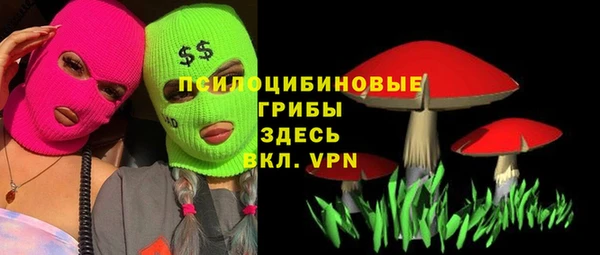 PSILOCYBIN Баксан