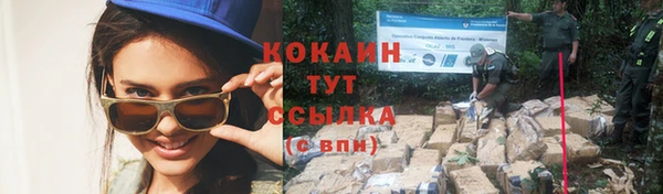 мяу мяу мука Семёнов