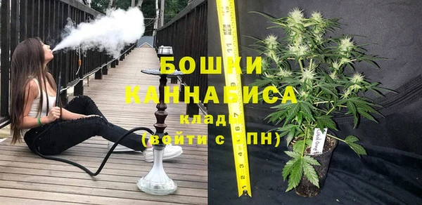 трава Балахна