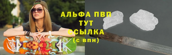 PSILOCYBIN Баксан