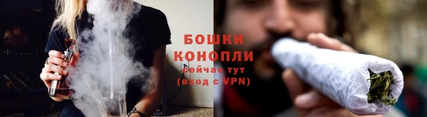 трава Балахна