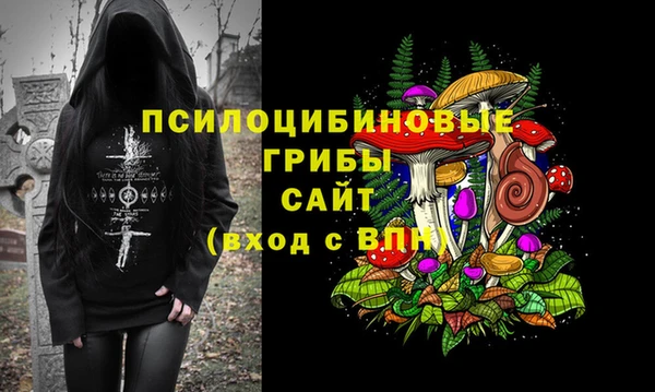 PSILOCYBIN Баксан
